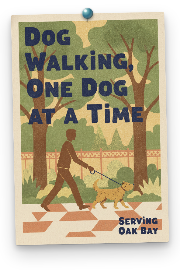 Services: Dog Walking, One Dog at a Time