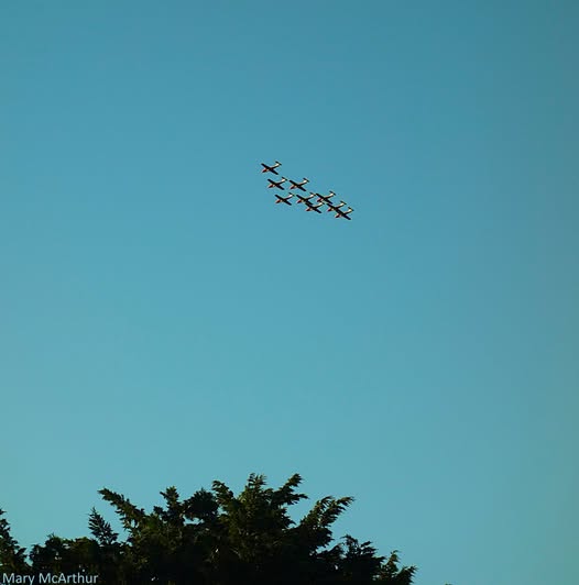 The Snowbirds in formation over trees against a clear blue sky.