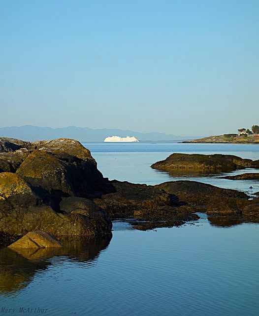 A cruise ship passing beyond the rocky shoreline and calm water at McNeill Bay.