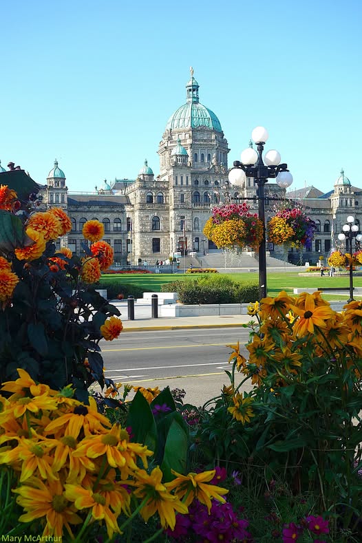 Dahlias and rudbeckia in front of the BC Legislature on a clear summer morning.