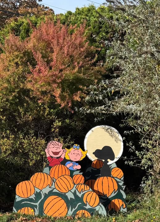 A Charlie Brown and Great Pumpkin Halloween display, photographed by Julie Bailapdx