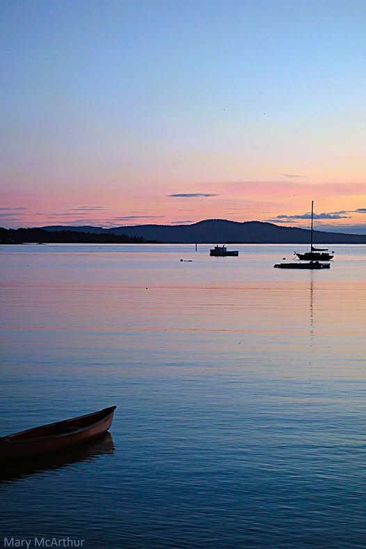 Photo shared by Mary McArthur Photography in the Oak Bay Local Facebook group